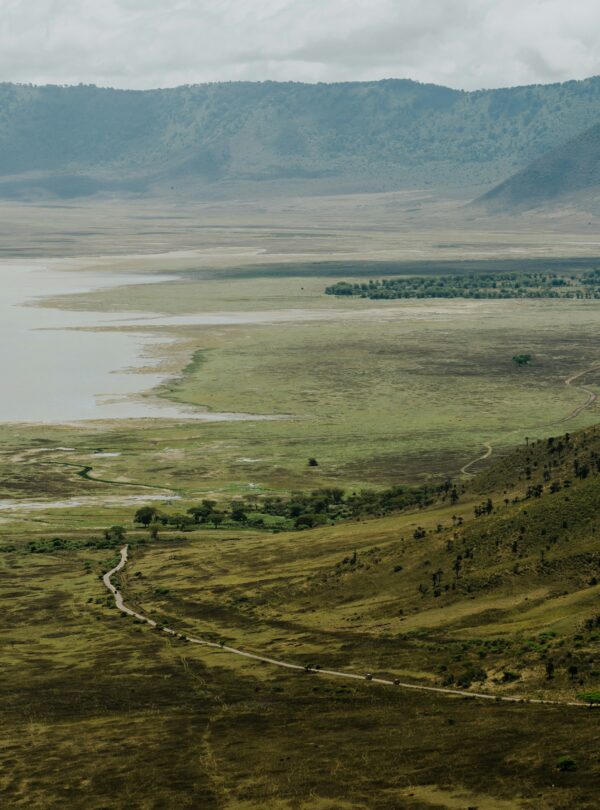 matthew-stephenson-BlQTC_JzRLY-unsplash (1)