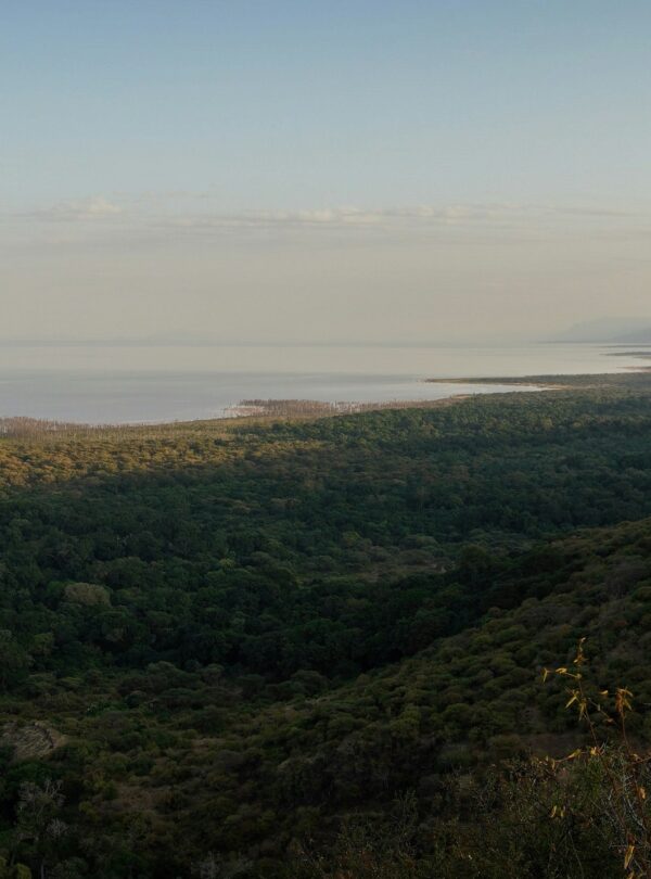 ricardo-ferro-RMXMZcp56ZI-unsplash